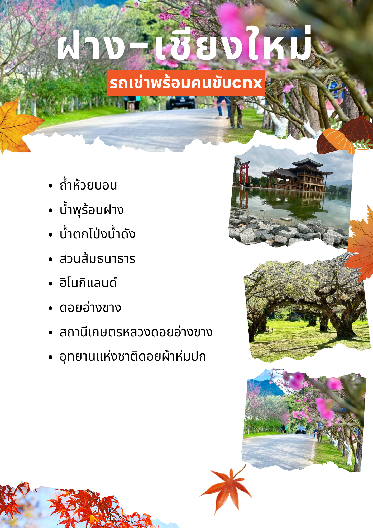 Travel Plan 7